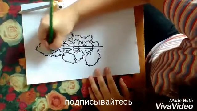 Берёза
