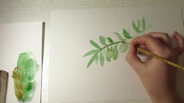 Урок рисования акварелью. Рисуем веточку Оливы. Рисунки для начинающих смотреть онлайн