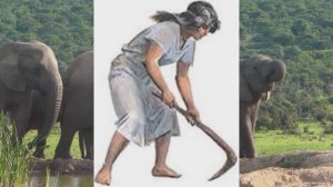 История Древнего мира: 5 класс. Возникновение земледелия и скотоводства