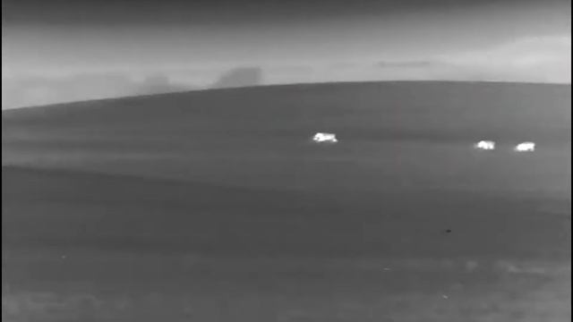 Schwarzwildbejagung am Raps - Beobachtung mit der Wärmebildkamera Pulsar Helion 2 XQ50f смотреть онлайн