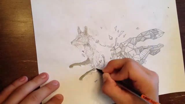 Geometric Fox Sketch смотреть онлайн