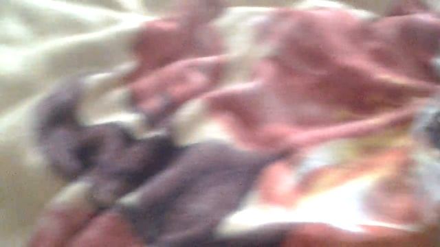 Дед Мороз подарил конфеты (чт.опис.) смотреть онлайн