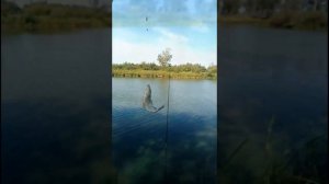 Лихачи Курганская область Рыбалка 🎏
