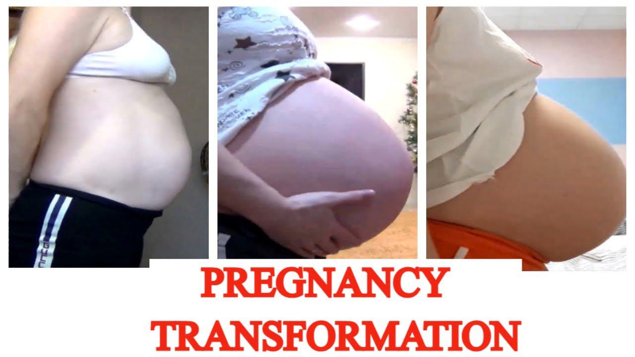PREGNANCY TRANSFORMATION   Week By Week Progress