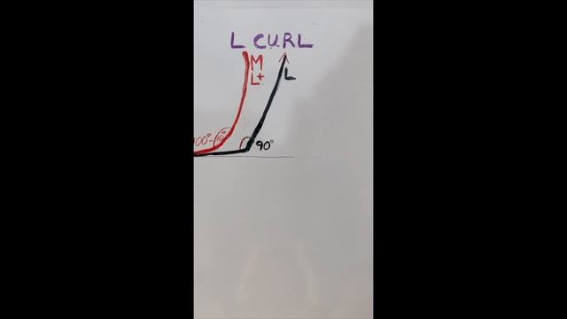 Working with L and M Curls смотреть онлайн