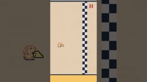 Как открыть 7542+8731 в Flappy Dunk