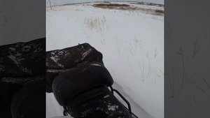 Снегоход Тайга с двигателем от Suzuki Jimny 660
