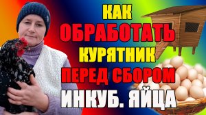 Как ОБРАБОТАТЬ курятник, перед сбором инкубационного яйца. Сажаю семена капусты на рассаду.