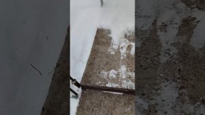 воздуходувка Electroline bp 700 уборка снега