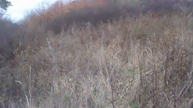 охота с пневматикой мр512,на дрозда смотреть онлайн