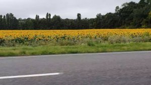 Как проехать 1000 км на велосипеде?!