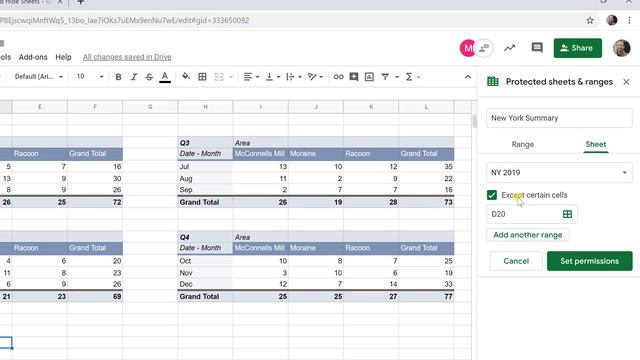 Google Sheets - Protect, Customize, and Hide Sheets | Multiple Users