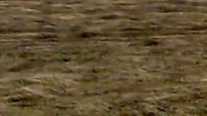 Сенокос, роторные грабли и т40ам