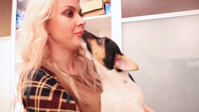 Чищу полку: как отвыкнуть от капель в нос, мои обручальные кольца, как не потеть? ♥ Lucky Lina смотреть онлайн