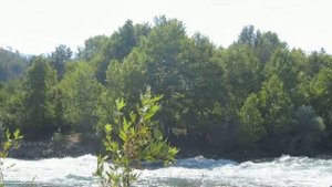 Перевернулись на Лодке