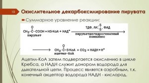 Лекция 4 ЭНЕРГЕТИЧЕСКИЙ ОБМЕН (Часть 1)