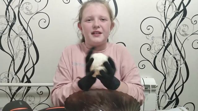 Поделка из жвачки быстро и просто. смотреть онлайн