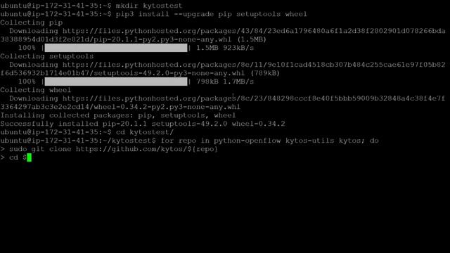 FIU SCIS 2020Summer AmLight InstallationGuide смотреть онлайн