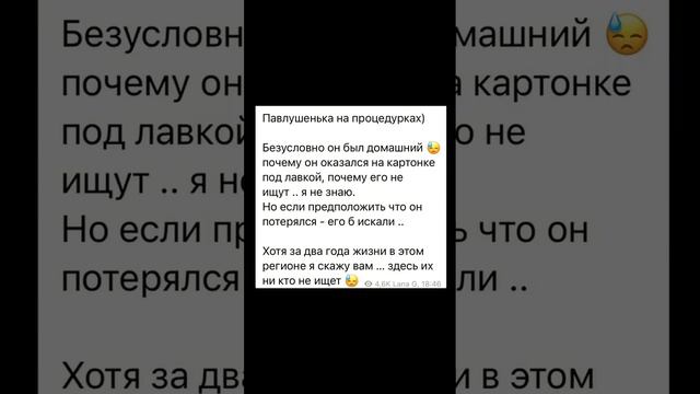 История Мистера Кредо и Павлика #помощьбездомнымживотным #непокупайприюти #семья
