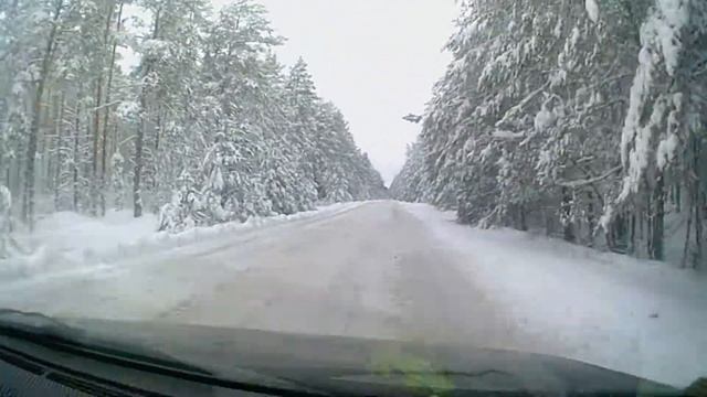 ?ЗИМНЯЯ ДОРОГА ? ЧЕРЕЗ СНЕЖНЫЙ ЛЕС ? !