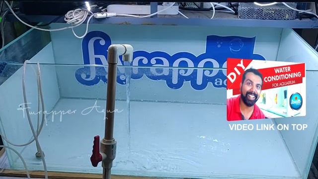 Discus Fish смотреть онлайн