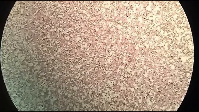 "Экспертиза" абразивного бруска.Определение зернистости. смотреть онлайн