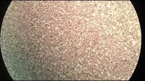 "Экспертиза" абразивного бруска.Определение зернистости.