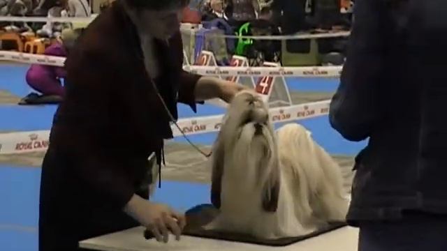 22.04.12 КИЕВ, CACIB, UNIQUE STYLE VIVIEN LEE смотреть онлайн