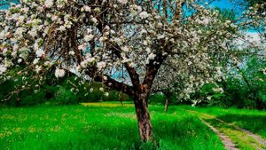 Ирина Рысь - Два ангела