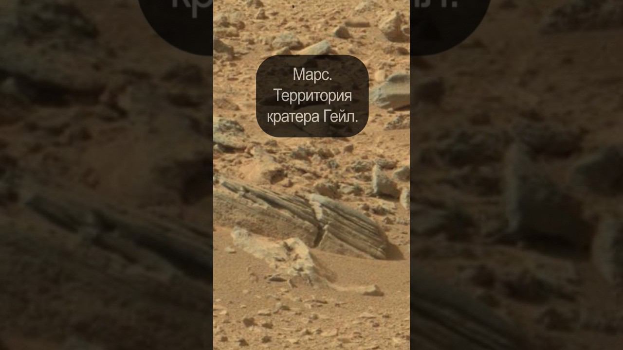 Окаменелые деревья Марса? смотреть онлайн