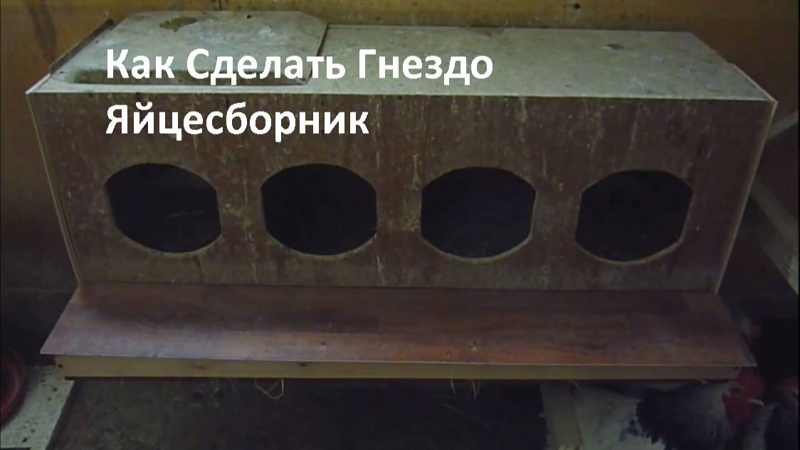 Как сделать гнездо с яйцесборником своими руками Идеальное решение для зимы!