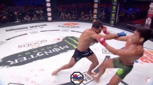 Gegard Mousasi | Highlights/Knockouts 2020 (HD)