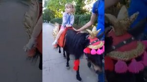Влог. Катаемся на лошадке. Маленький пони для детей.