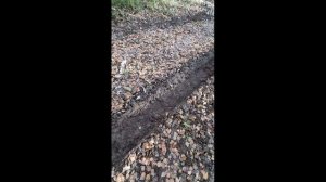 Мопед Colt. Поехали ч 2