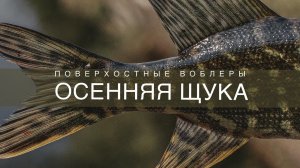 Ловля осенней щуки на заросших водоемах. Мои рабочие поверхостные приманки на щуку