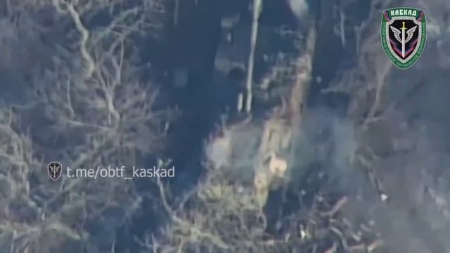 Барражирующий боеприпас Ланцет, поражение САУ 2С3 Акация  (ВСУ).