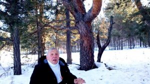 С. Есенин "Лисица"