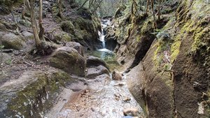 Мезмай. Пальмовый, Исиченко и другие водопады ущелья Курджипс в Мезмае. 04.2023г.
