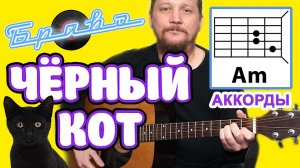 ? ЧЕРНЫЙ КОТ - ГРУППА _БРАВО_ (КАК ИГРАТЬ НА ГИТАРЕ) ПРОСТАЯ ПЕСНЯ (АККОРДЫ БЕЗ БАРРЭ + БОЙ) COVER