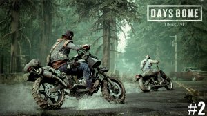 Прохождение Days Gone Стрим 2