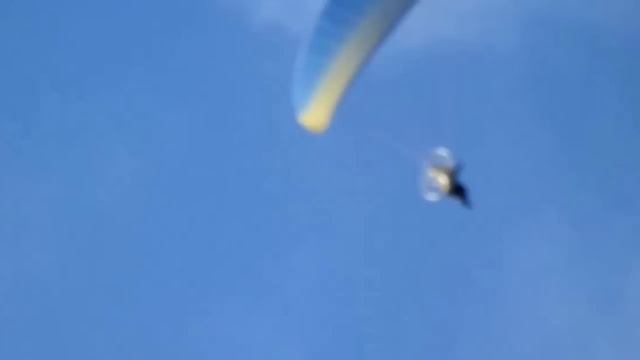 На батуте в огороде смотреть онлайн