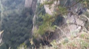Китай. гора Аватар в парке Чжанцзяцзе. mt. Avatar Hallelujah in Zhangjiajie Park. China.