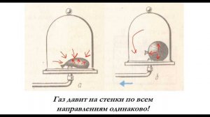Давление в твердых телах, жидкостях и газах  Закон Паскаля