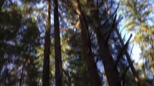 С ВЫШКИ НА КАБАНА / #ОХОТА НА КАБАНА С ВЫШКИ