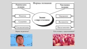 Сознание, познание, мышление и не только.