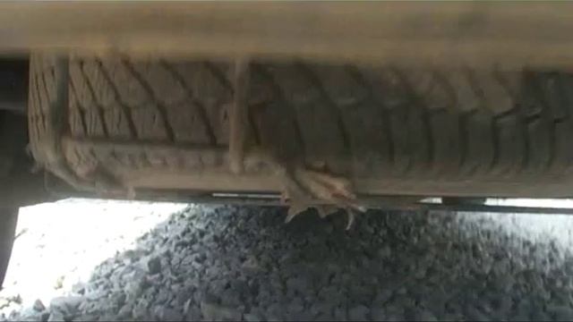 Renault kangoo 1,9 дизиль, 2002 р.в. смотреть онлайн