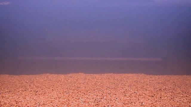 Copy of LED Strip 5630 60chips/meter x 4m // 5050 Red and blue 4m:1m смотреть онлайн