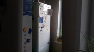 Кнопка освещения в холодильнике INDESIT IB-201