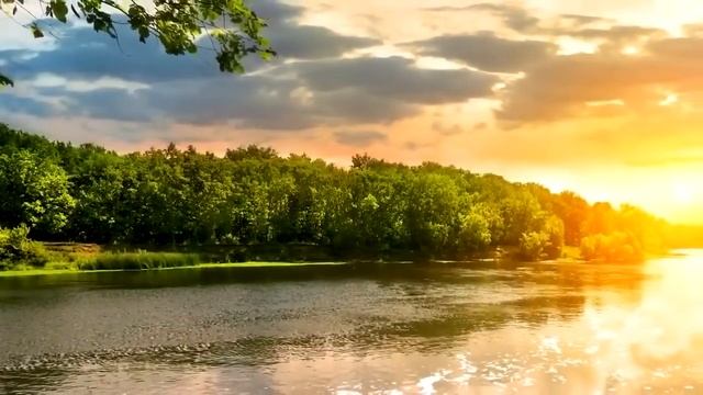 Сначала вы меняете себя, и, как следствие, меняется мир вокруг вас смотреть онлайн