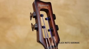 Ibanez "Upswing" UB804 Upright Bass featuring Hideyan(Calmera)